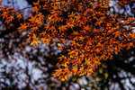 DSC01947