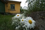 DSC02671