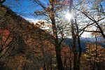 DSC04189