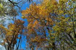DSC04202