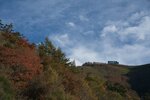 DSC04229