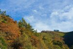 DSC04230