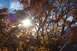DSC04231