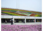 CIMG0857