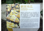 CIMG0894