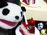 Birthday-05