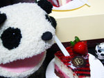 Birthday-07