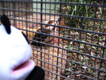 IMG_0904