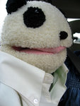 IMG_0922_s