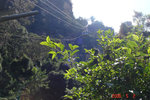 DSC01772
