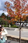 DSC01784