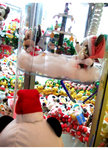 DSCF1329