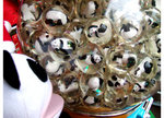 DSCF1345
