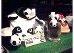 DSCF1466