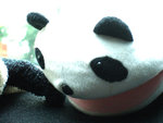 DSCF2728