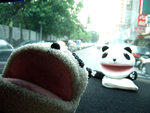 DSCF2748