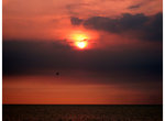 IMG_0660