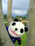 IMG_1127-b