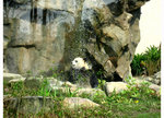 IMG_3431_s