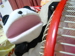 Ababa-rest-08