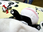 Ababa-rest-29