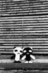 032005-14cs