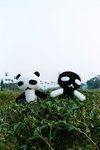 032005-23s