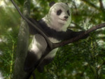 panda_4-5