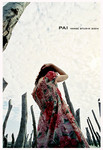 Pai-22