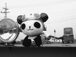 IMG_3277e2