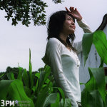 Pai-03
