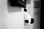 Ohh1010-24