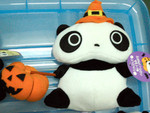 Pumpkin