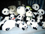 ShanShan
