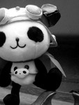 IMG_3224e