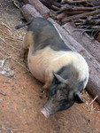 DSCN4891