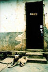 04-03