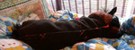 DSCN4508