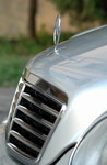C320"Avantgarde"~105mm Sign