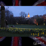IMG_5439x