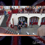 IMG_5552x