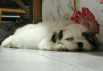 DSCN5963