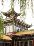 紫洞坊