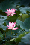 CRW_3262