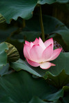 CRW_3360