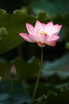 CRW_3363