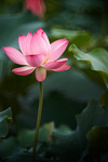 CRW_3370