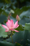 CRW_3376