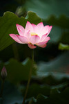 CRW_3388