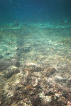 CRW_0753